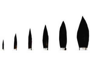 Afbeelding - 8750101-png
